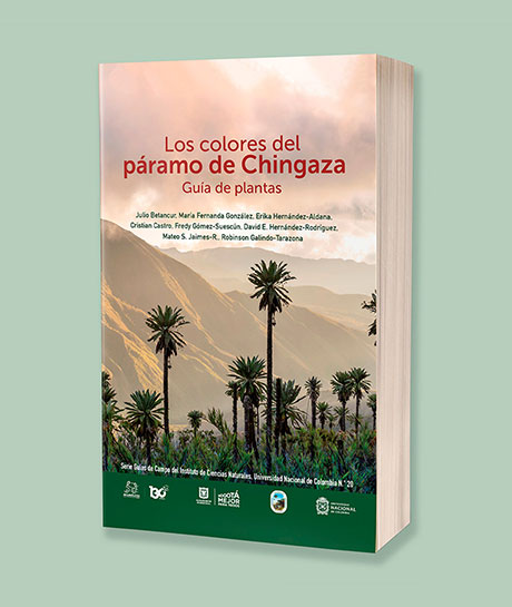 los-colores-del-paramo-de-chingaza