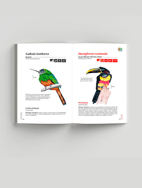 guia-ilustrada-de-aves