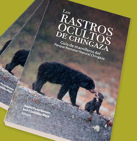 los-rastros-ocultos-de-chingaza