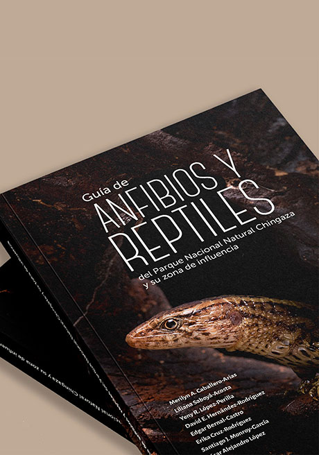 guia-de-anfibios-y-reptiles-del-pnn-chingaza