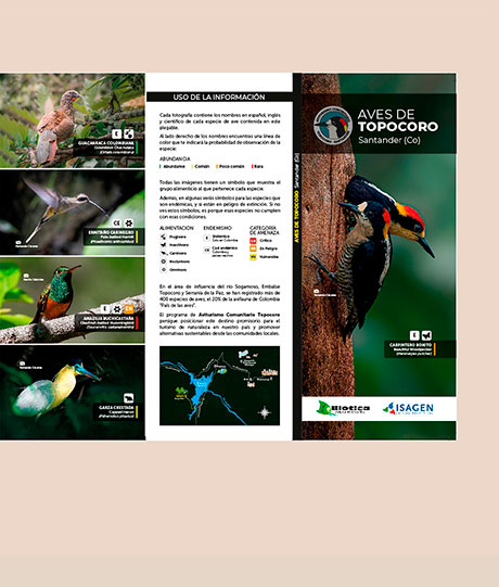 aves-de-topocoro-guia