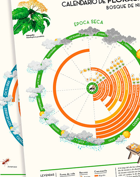 calendario-de-floracion