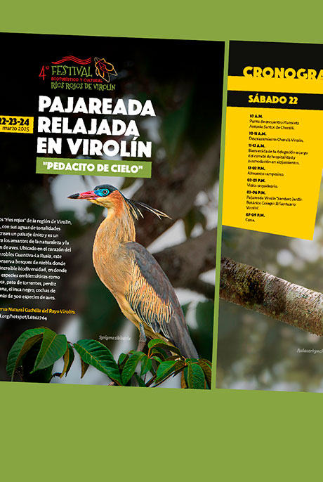pajareada-en-virolin